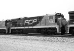 FCP 436